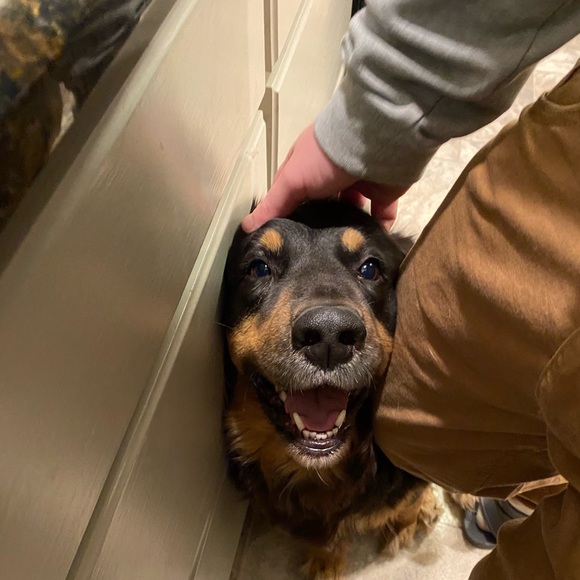 Meet The Posher - Picture 3 of 3